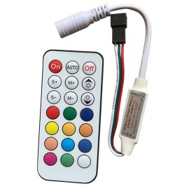 FS-RF20BS RUN RF21 Mini Digital kontroler sa daljinskim 21 taster Mitea Lighting