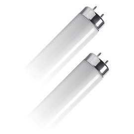 Fluo cev T8 18W G13 6500K 600mm GEYER
