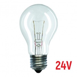 E27 24V 100W A55 sijalica Mitea Lighting